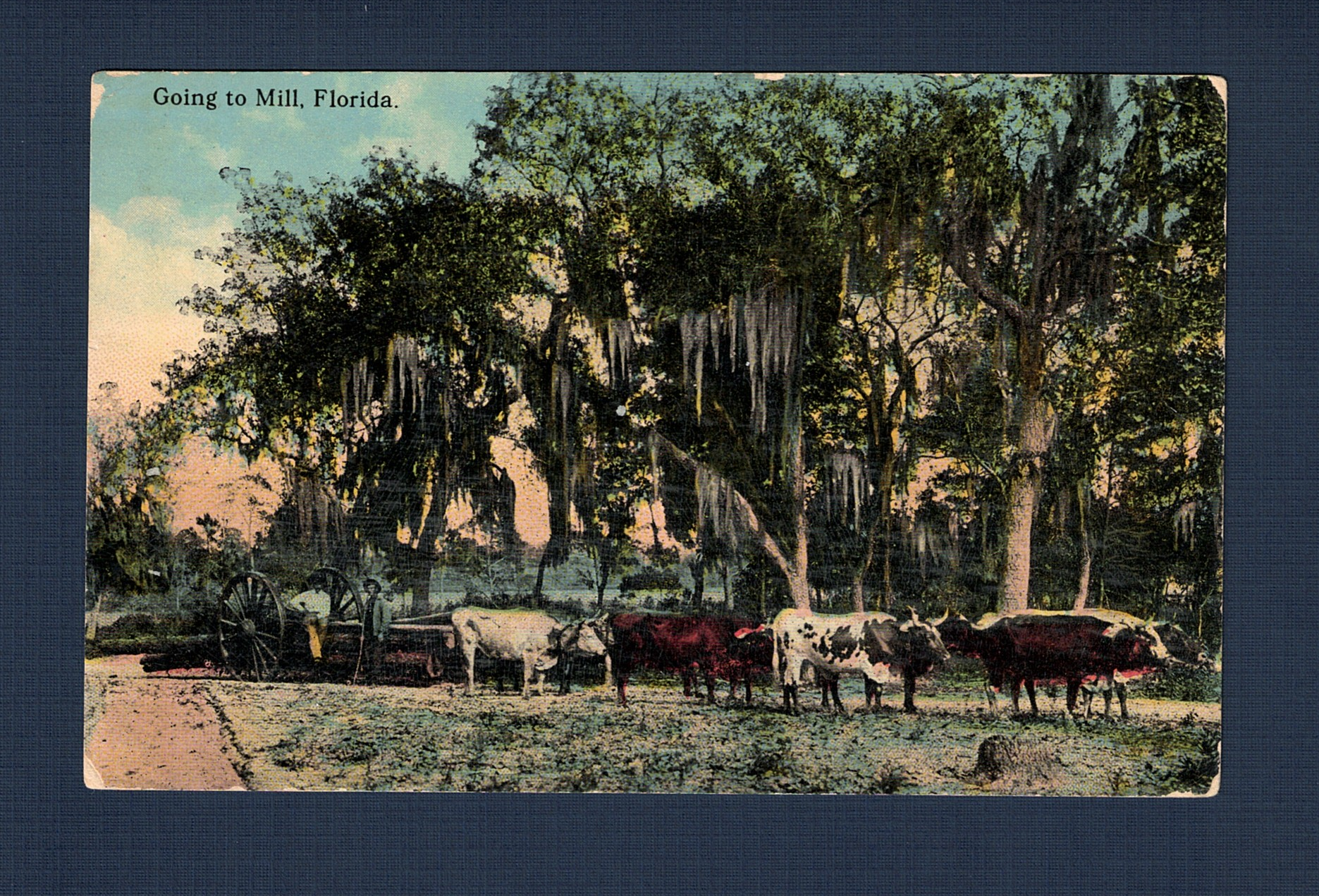 19150303 Geneva FL to Schaghticoke NY - Front